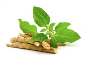 Ashwagandha: The Ultimate Adaptogen for Stress Relief and Wellness