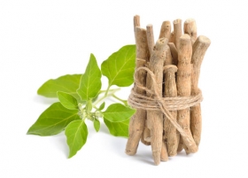 Ashwagandha: The Ultimate Adaptogen for Stress Relief and Wellness
